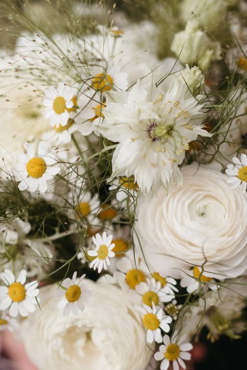 nunta wedding-plan la foret